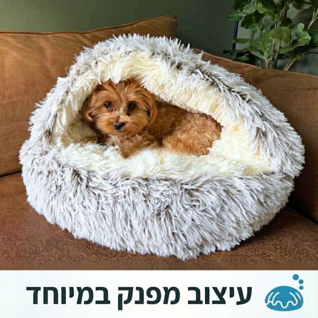 מיטת המערה