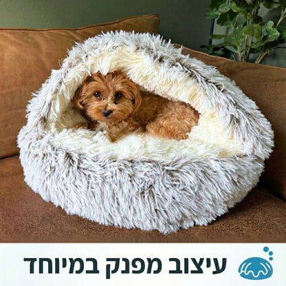 מיטת המערה