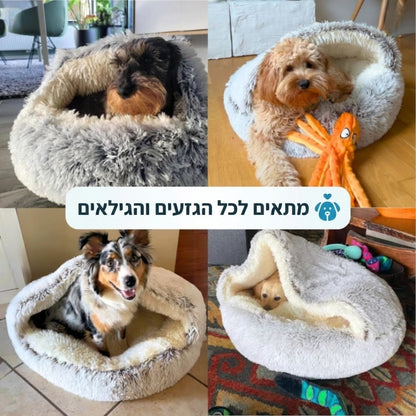 מיטת המערה