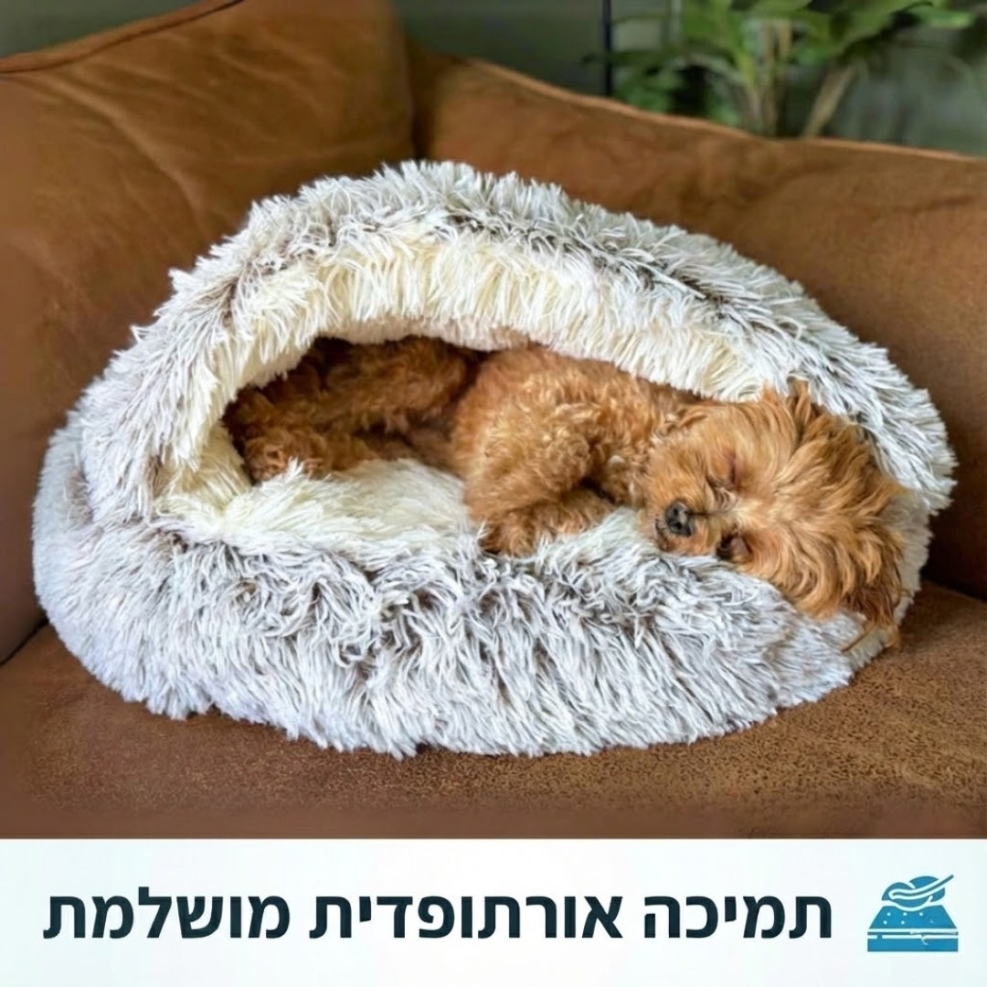 מיטת המערה