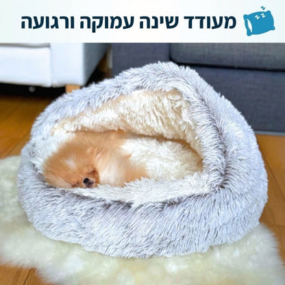 מיטת המערה