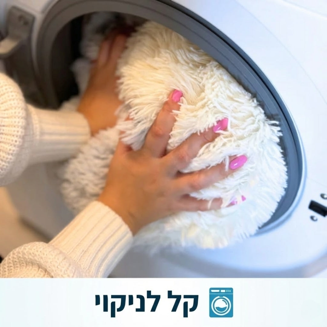 מיטת המערה