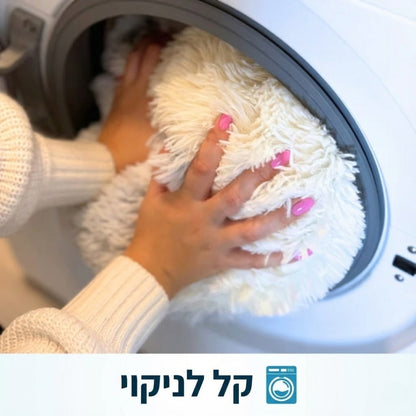 מיטת המערה