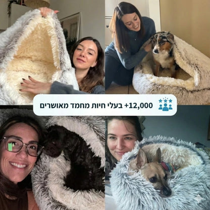 מיטת המערה