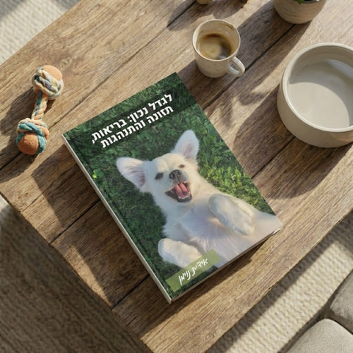 "לגדל נכון" - ספר דיגיטלי