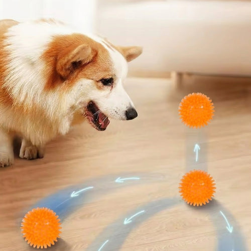 כדור אינטראקטיבי לחיות מחמד